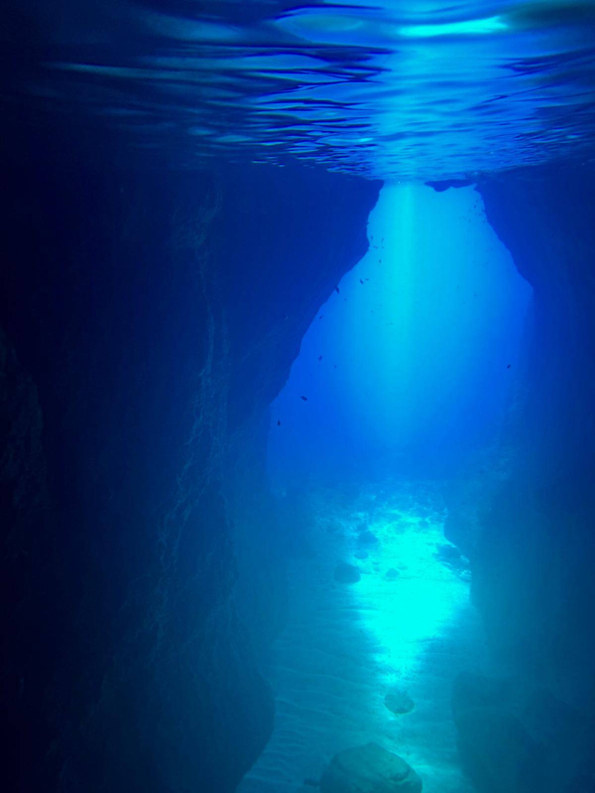 Vue spectaculaire des hautes falaises entourant la calanque de l'Oule dans les Calanques de Marseille